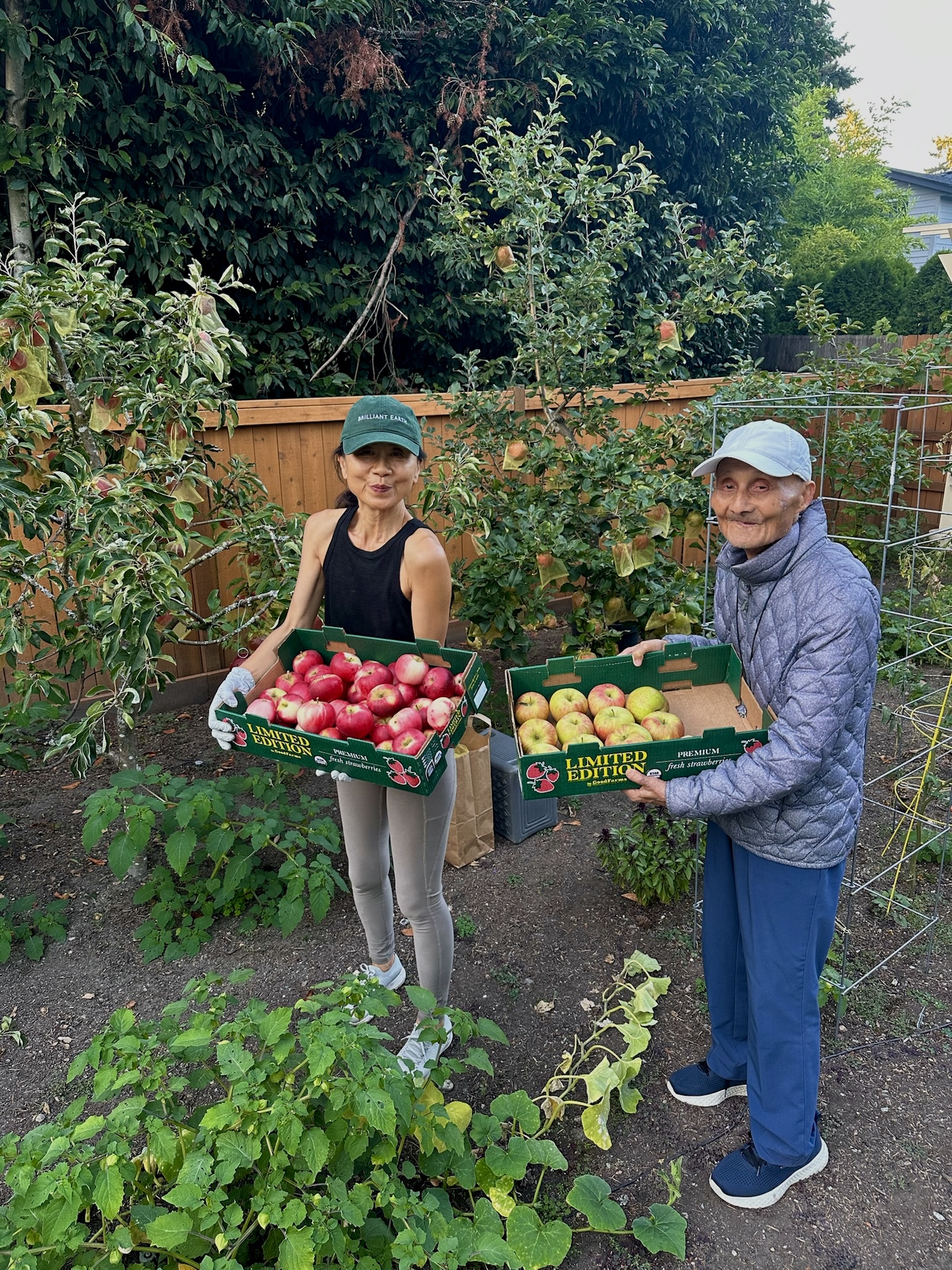 Janney and her father with two flats of picked apples