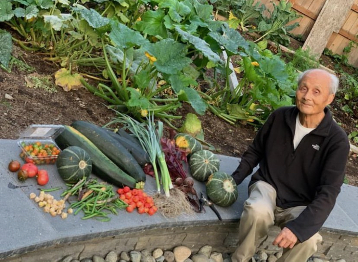 A full day's harvest laid out on the garden wall, squash, zucchini, leeks, beets, beans and tomatoes